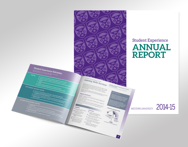 Student Experience Annual Report