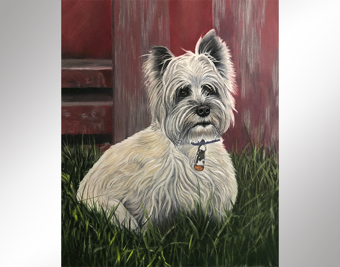 Cairn Terrier