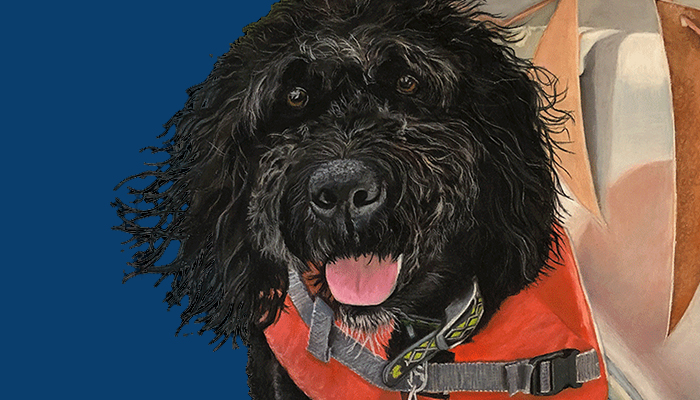 Pet Portraits and Fine Art